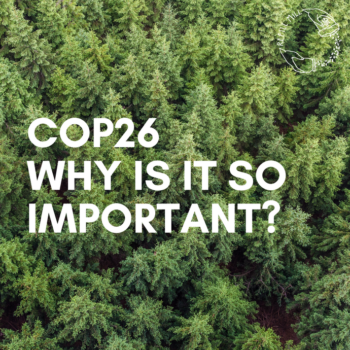 COP26 - Why Was It Important?