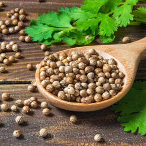 Wooden spoon with organic coriander seeds on wooden table