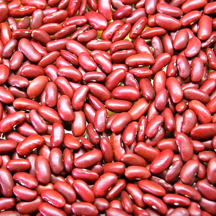 Red Kidney Beans - Refill Mill