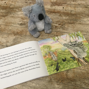 Sunny's Blazing Battle Book & Teddy Set