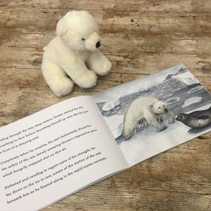 Hunter's Icy Adventure Book & Teddy Set