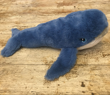 Load image into Gallery viewer, Nelson&#39;s Dangerous Dive Book &amp; Teddy Set
